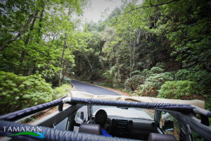 La Gomera jeep safari