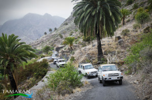 La Gomera jeep safari