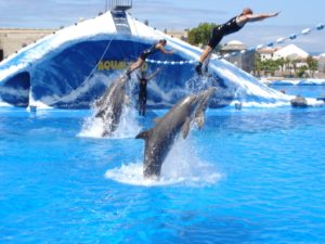 Aqualand park wodny na Teneryfie