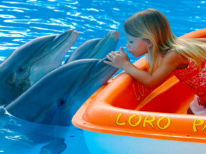 Loro Park - pokazy dla dzieci