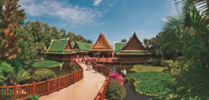 Loro Park Teneryfa - oferta dla całej rodziny