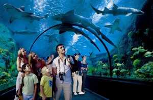 Twin Ticket - Siam Park, Loro Park Teneryfa plus transport