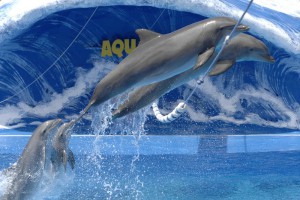 Park wodny na Teneryfie Aqualand costa adeje