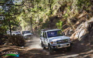 El Teide jeep safari - Teneryfa