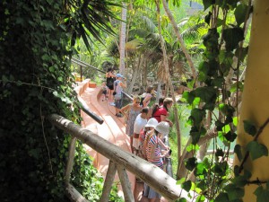 Jungle Park Teneryfa