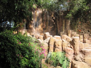Jungle Park Teneryfa