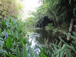Jungle Park Teneryfa