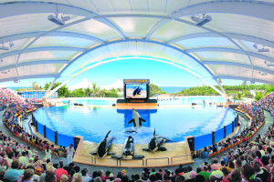Loro Park Teneryfa