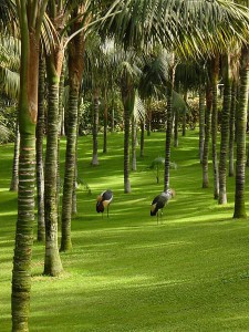 Loro Park Teneryfa