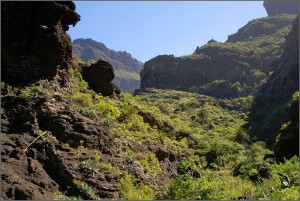 Trekking Wąwóz Masca - Teneryfa